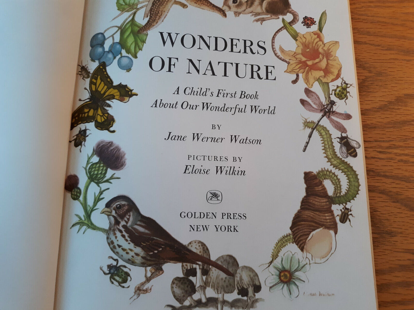 Wonders Of Nature Jane Werner Watson 1958 Hardcover Golden Press