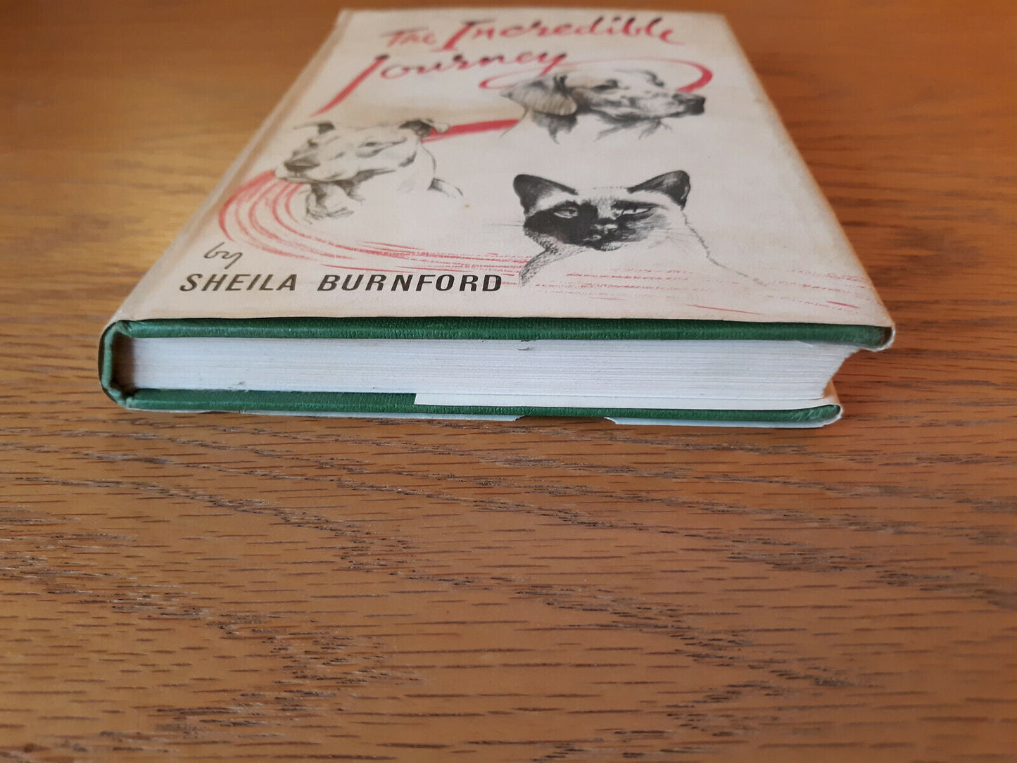 The Incredible Journey Sheila Burnford 1962 Hardcover Dust Jacket Hodder And Sto