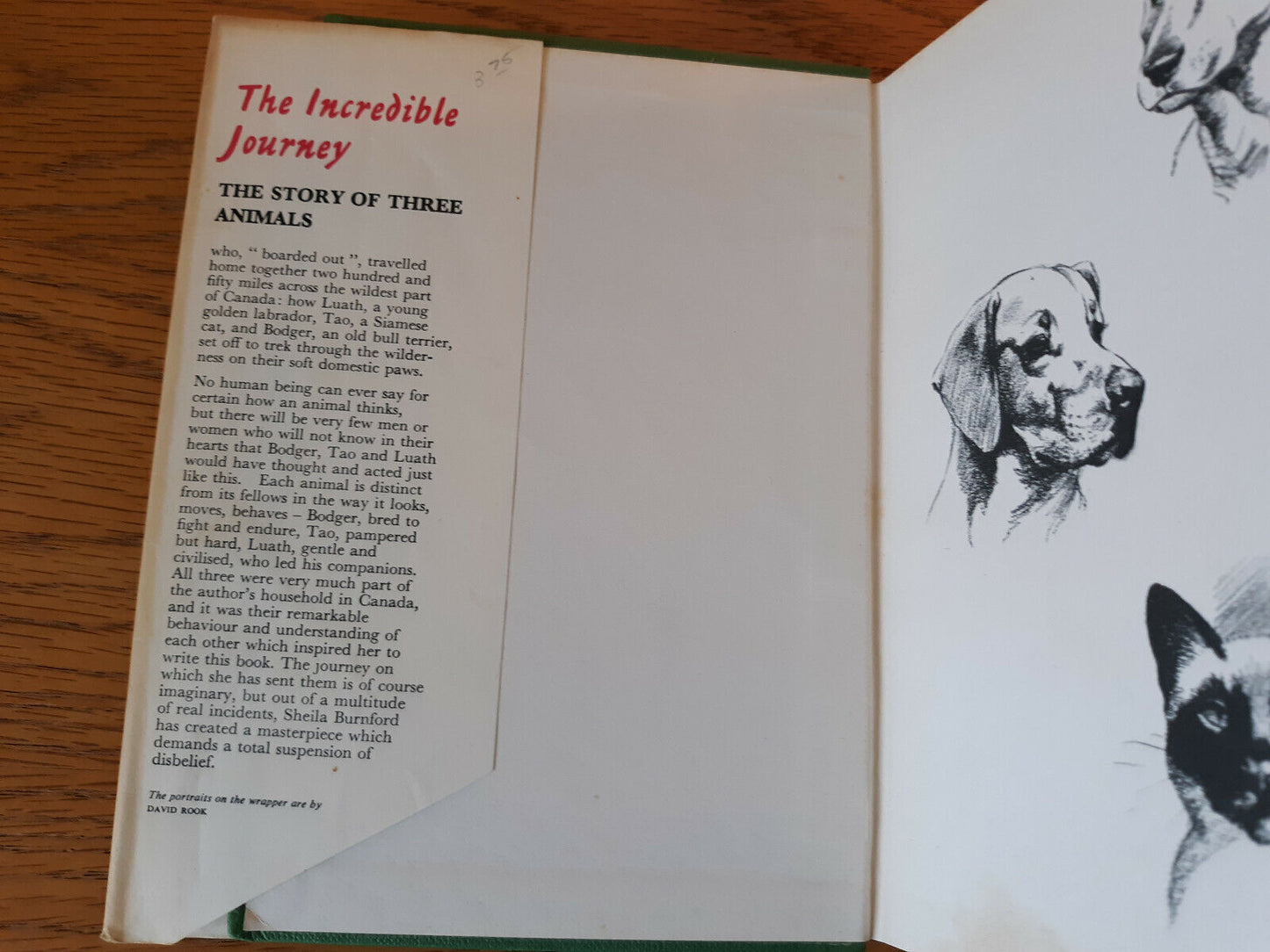 The Incredible Journey Sheila Burnford 1962 Hardcover Dust Jacket Hodder And Sto