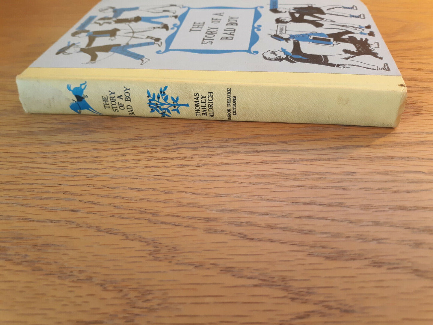 The Story Of A Bad Boy Thomas Bailey Aldrich 1956 Hardcover Garden City Junior D