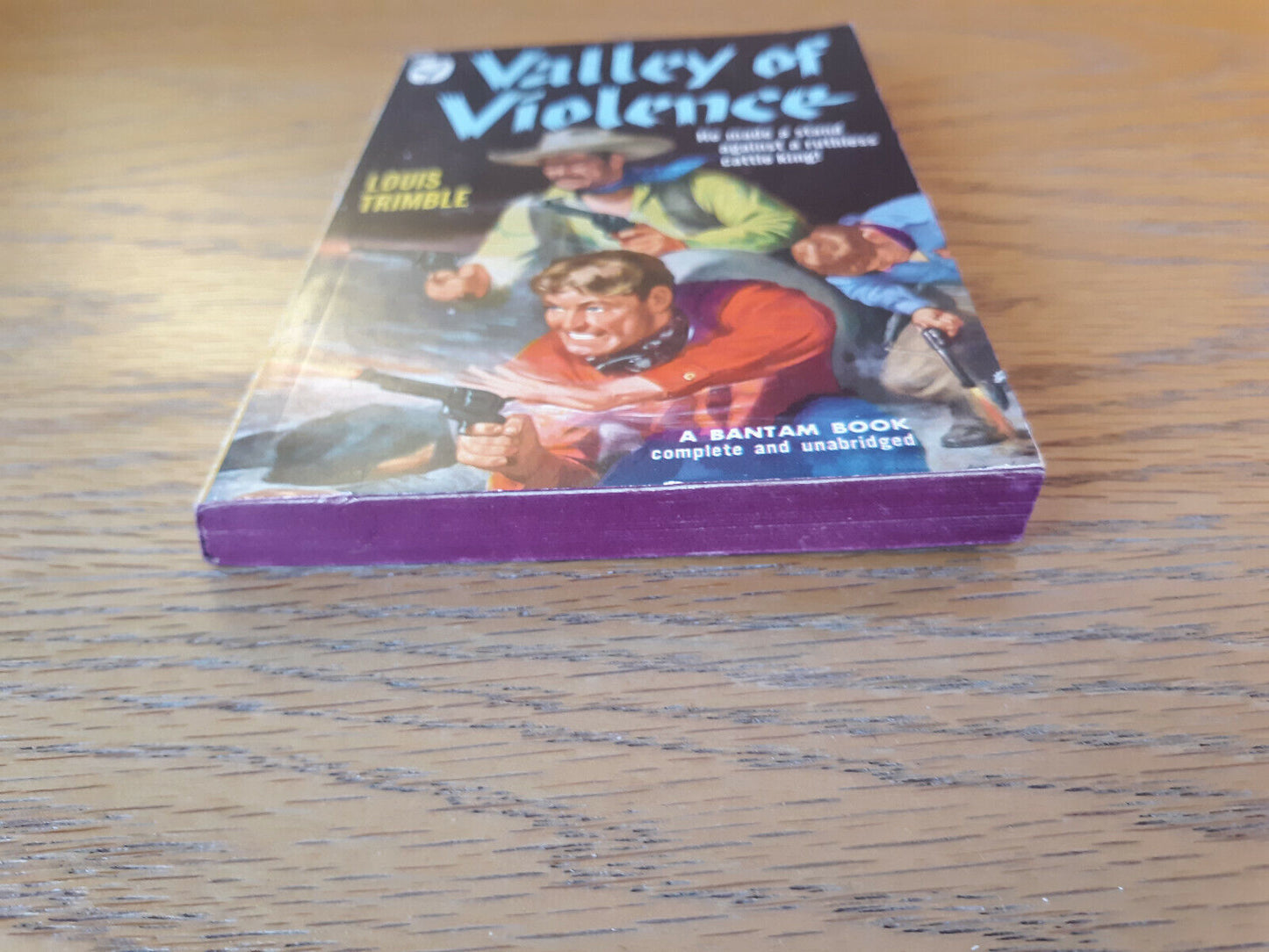 Valley Of Violence Louis Trimble 1950 Bantam Books Paperback