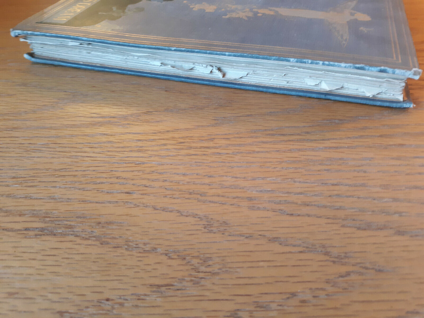 A Midsummer Nights Dream Illustrated W Heath Robinson Shakespeare Henry Holt