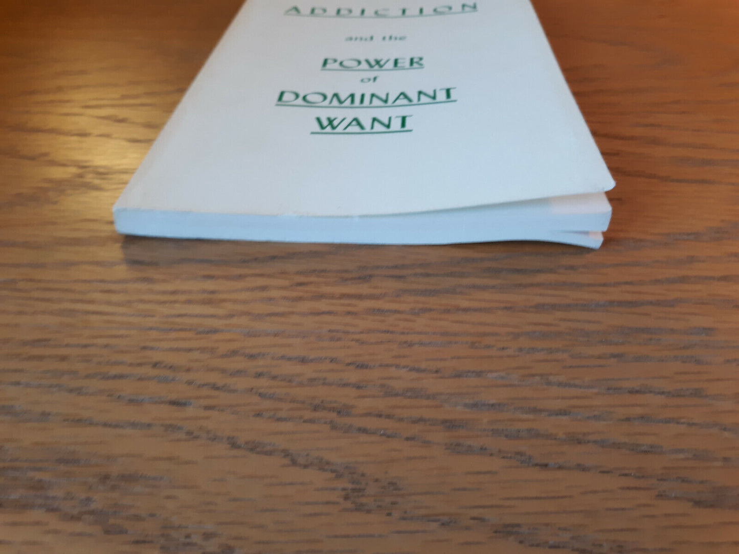 Addiction And The Power Of Dominant Want 1983 F E Van Dusen Paperback P D W Publ