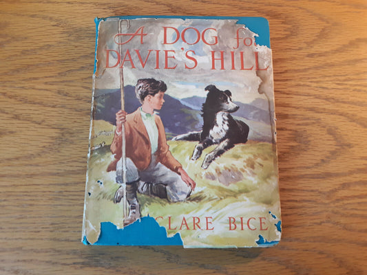 A Dog for Davie's Hill (Weekly Reader Children's Book Club, HC 1957) Clare Bice