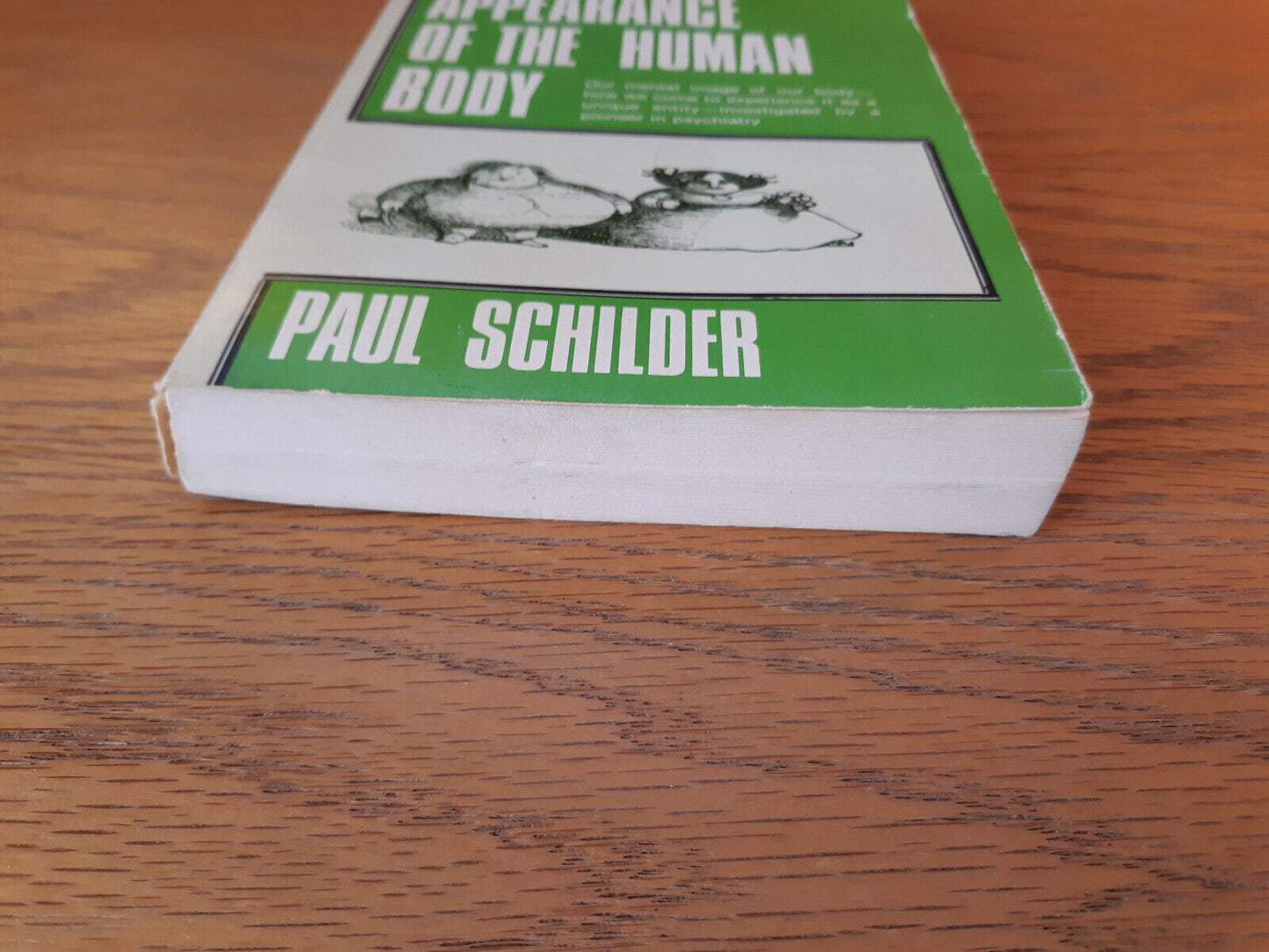 The Image And Appearance Of The Human Body Paul Schilder 1978 Paperback Internat