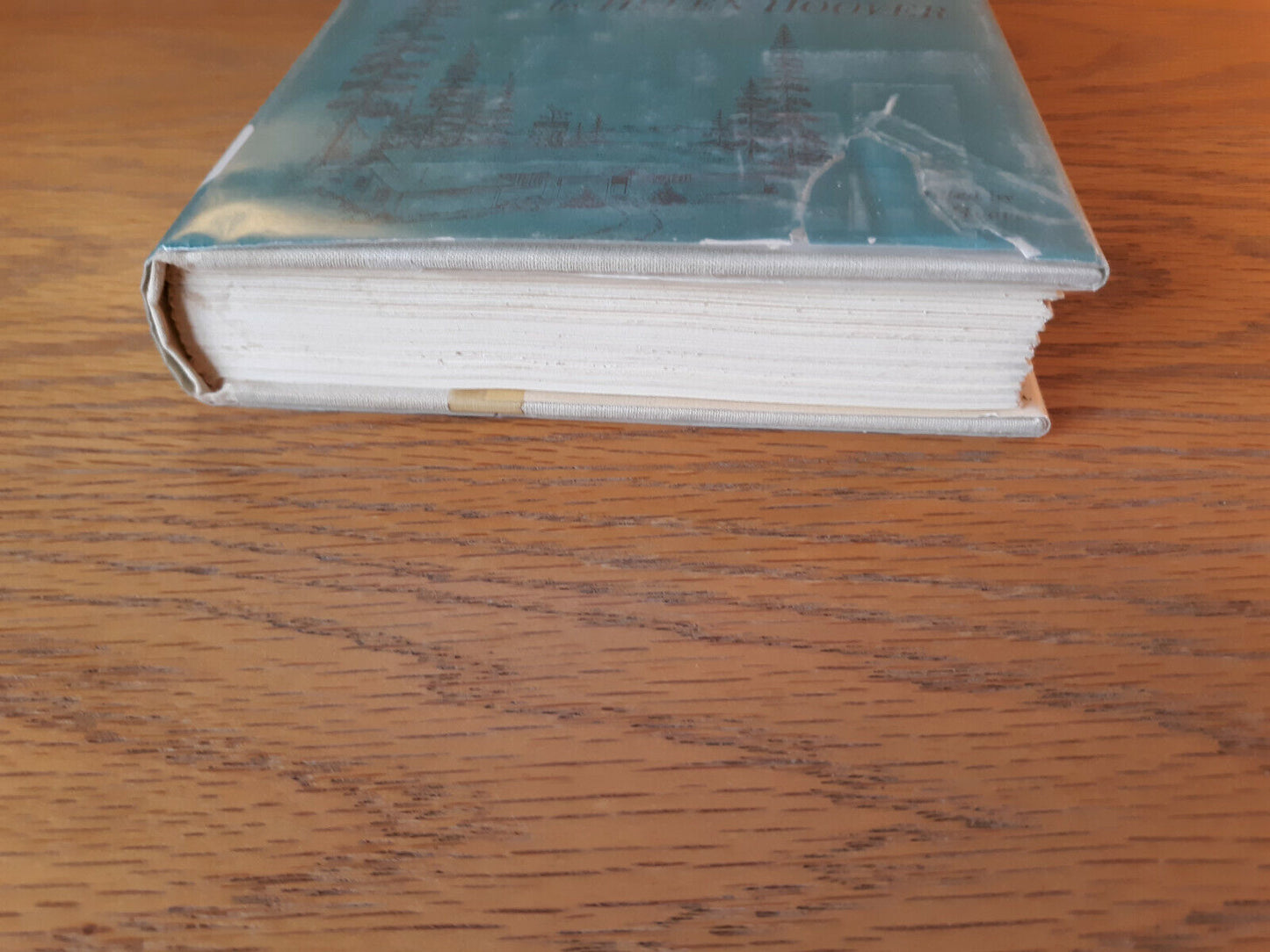 A Place In The Woods Helen Hoover 1972 Alfred A Knopf Hardcover Dust Jacket