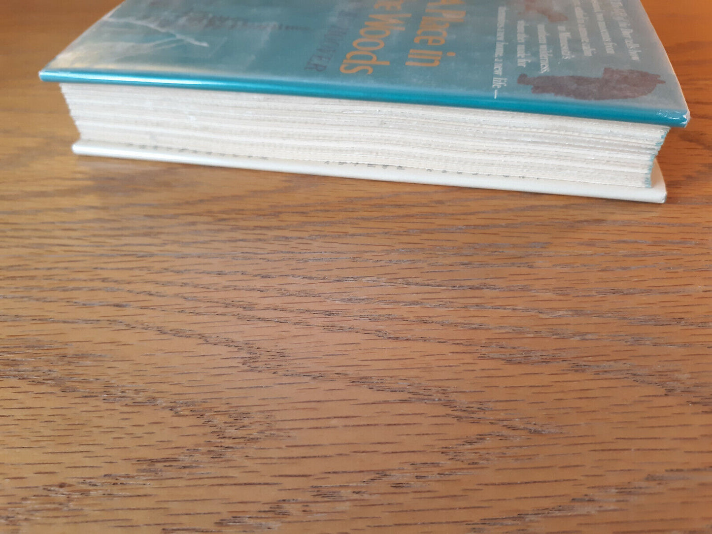 A Place In The Woods Helen Hoover 1972 Alfred A Knopf Hardcover Dust Jacket