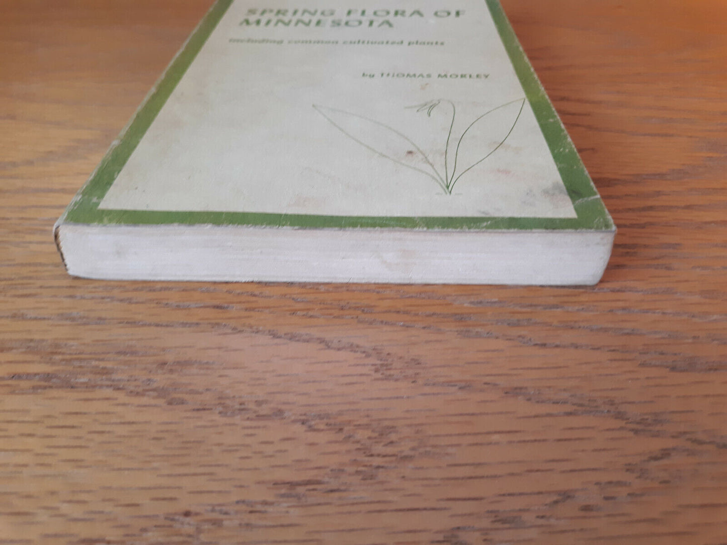Spring Flora Of Minnesota Thomas Morley 1969 University Of Minnesota Press Paper
