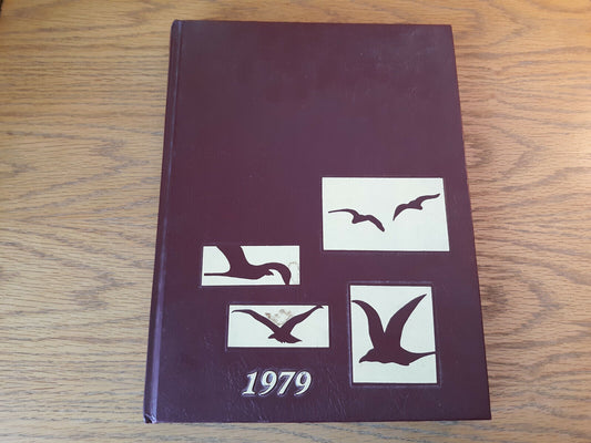 1979 Valley Green Passaic Valley High School Little Falls New Jersey Hardcover Y