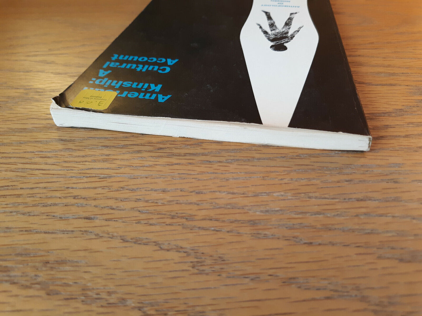 American Kinship A Cultural Account David M Schneider 1968 Paperback Prentice Ha