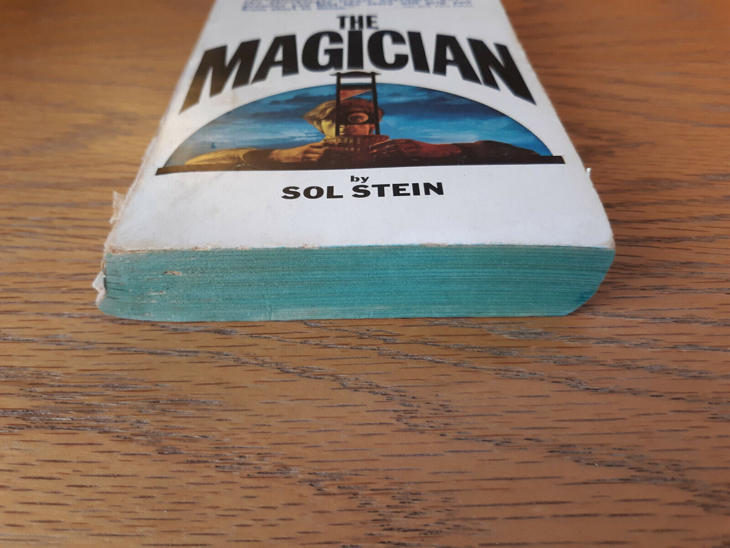 The Magician Sol Stein 1972 Dell Paperback