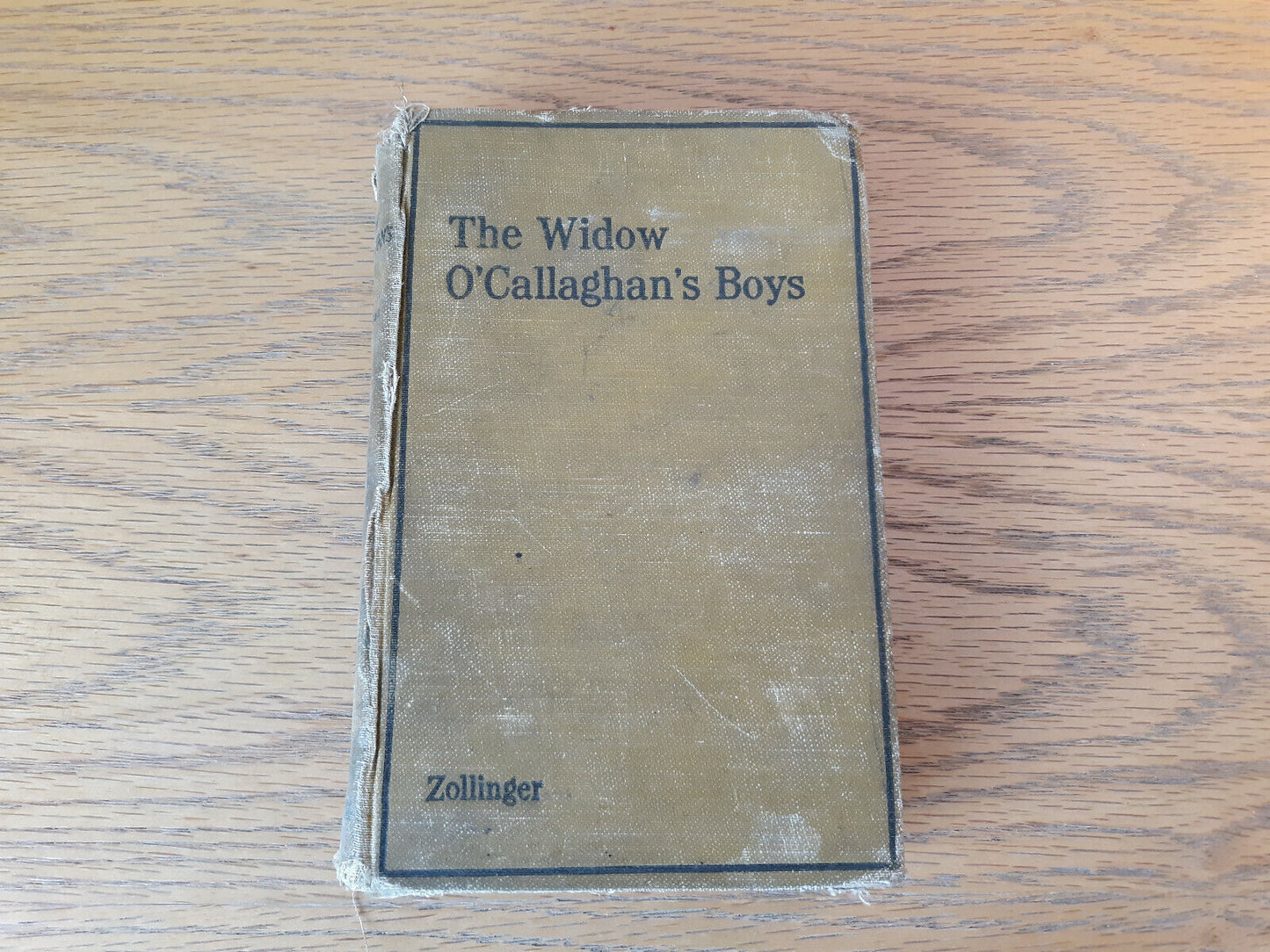 The Widow O'callaghan's Boys Gulielma Zollinger 1924 Hardcover A. C. McClurg