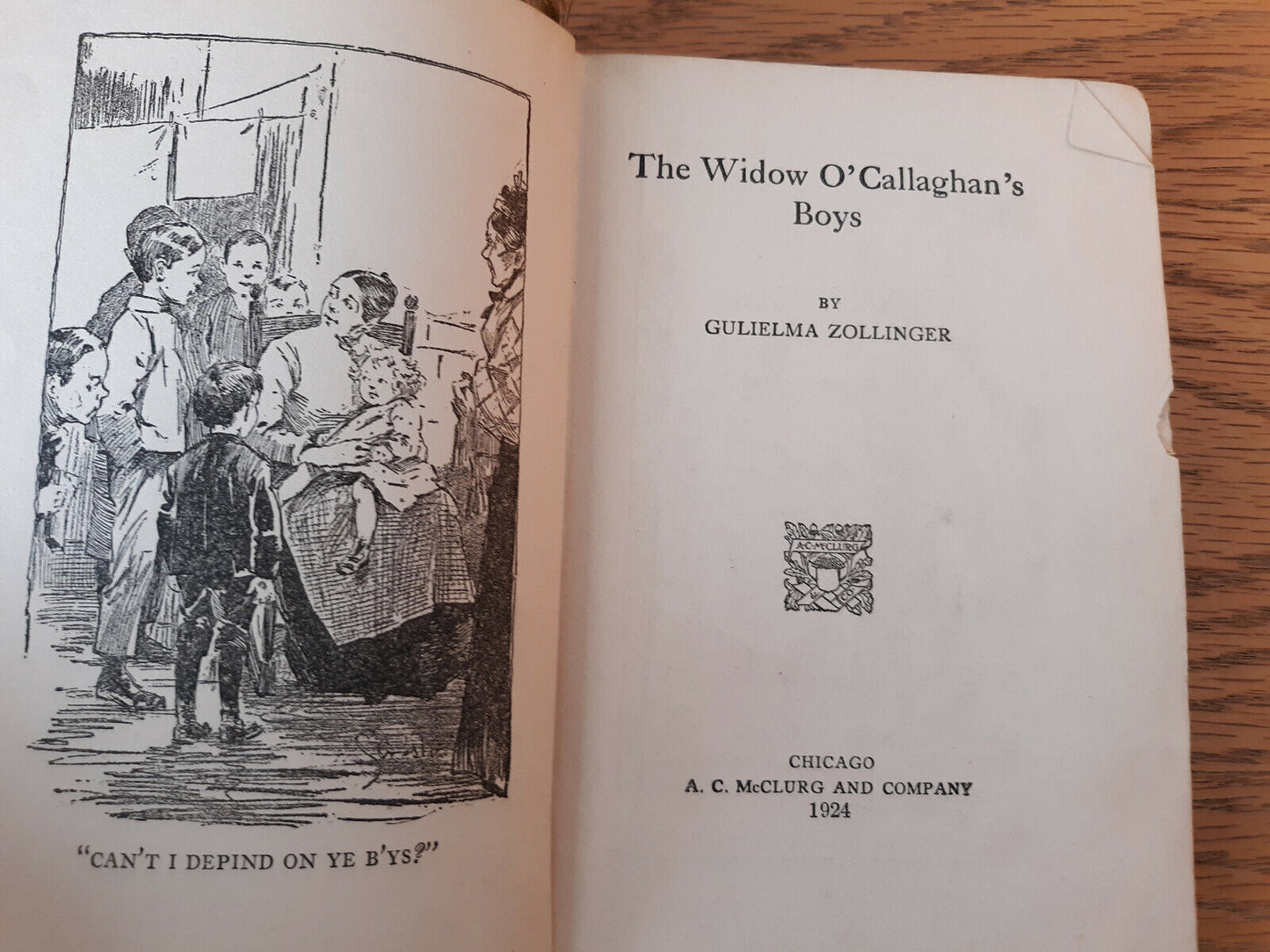 The Widow O'callaghan's Boys Gulielma Zollinger 1924 Hardcover A. C. McClurg