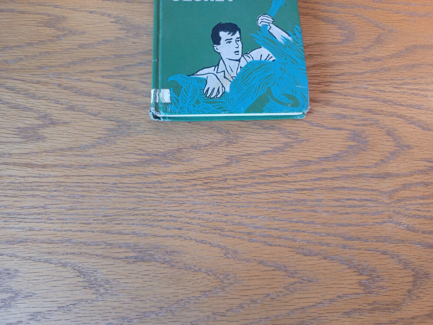 The Jungle Secret Ingram See 1961 1st Edition Hardcover Signal Book Doubleday