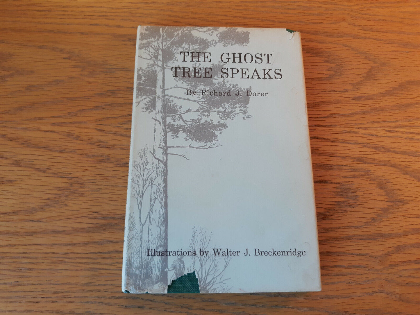 The Ghost Tree Speaks Richard J Dorer 1964 Hardcover Dust Jacket Ross & Haines