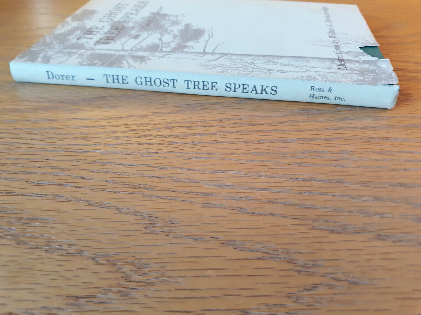 The Ghost Tree Speaks Richard J Dorer 1964 Hardcover Dust Jacket Ross & Haines