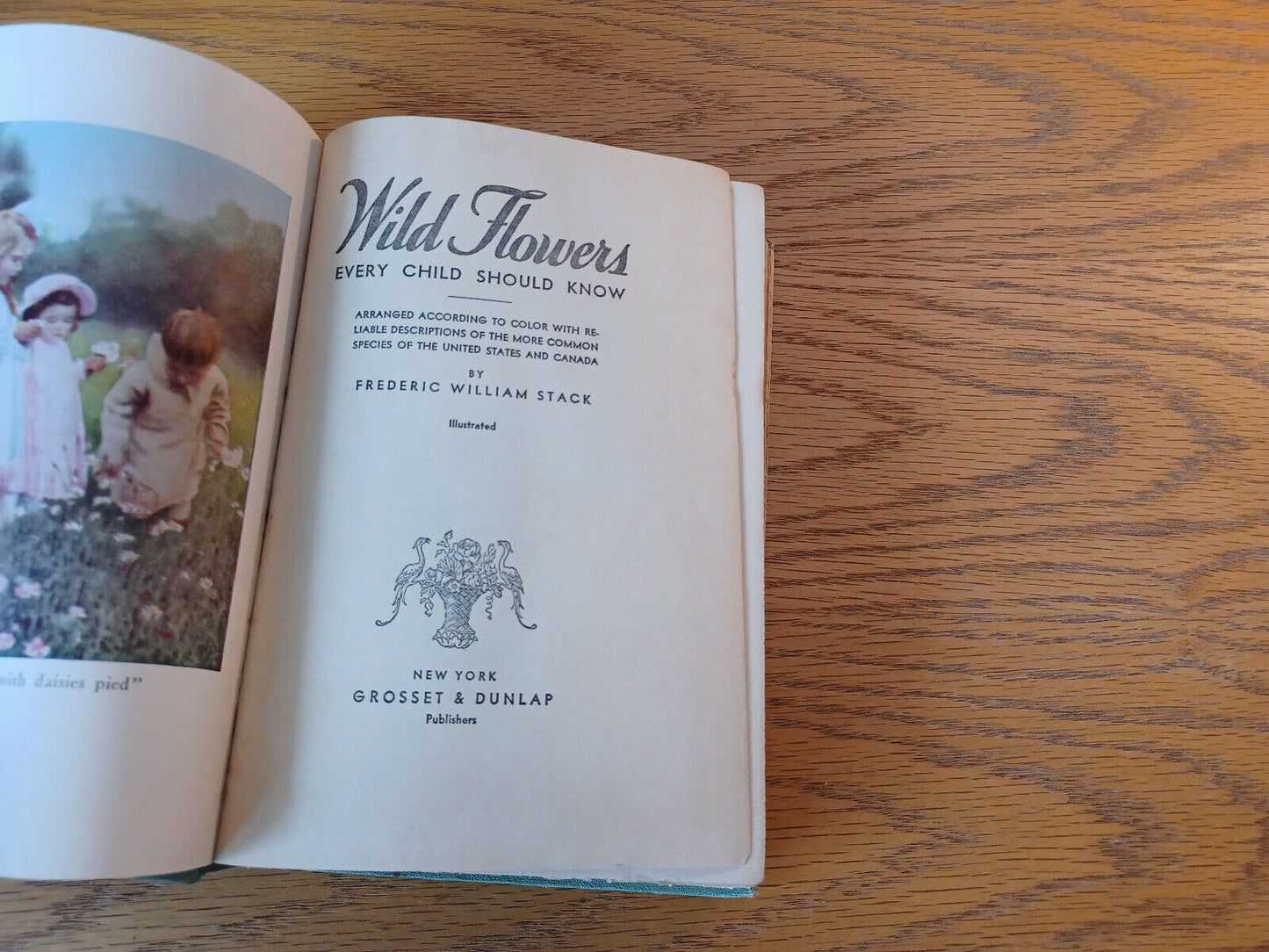 Wild Flowers Every Child Should Know Frederic William Stack 1909 Grosset & Dunla