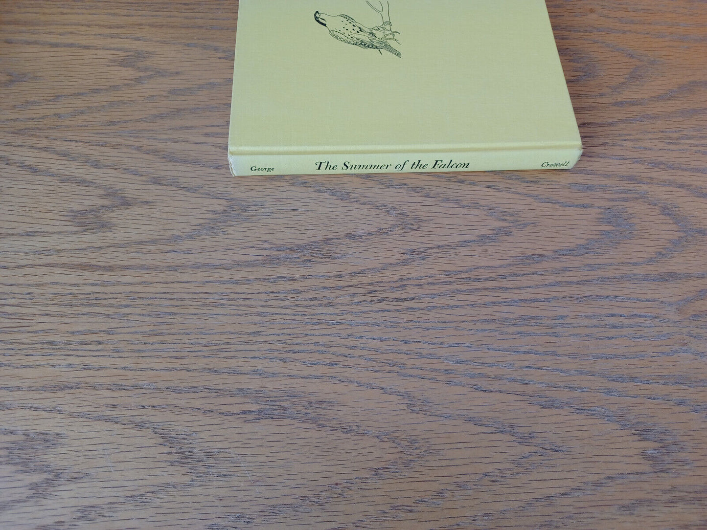 The Summer Of The Falcon Jean Craighead George 1962 1st Printing Hardcover Thoma