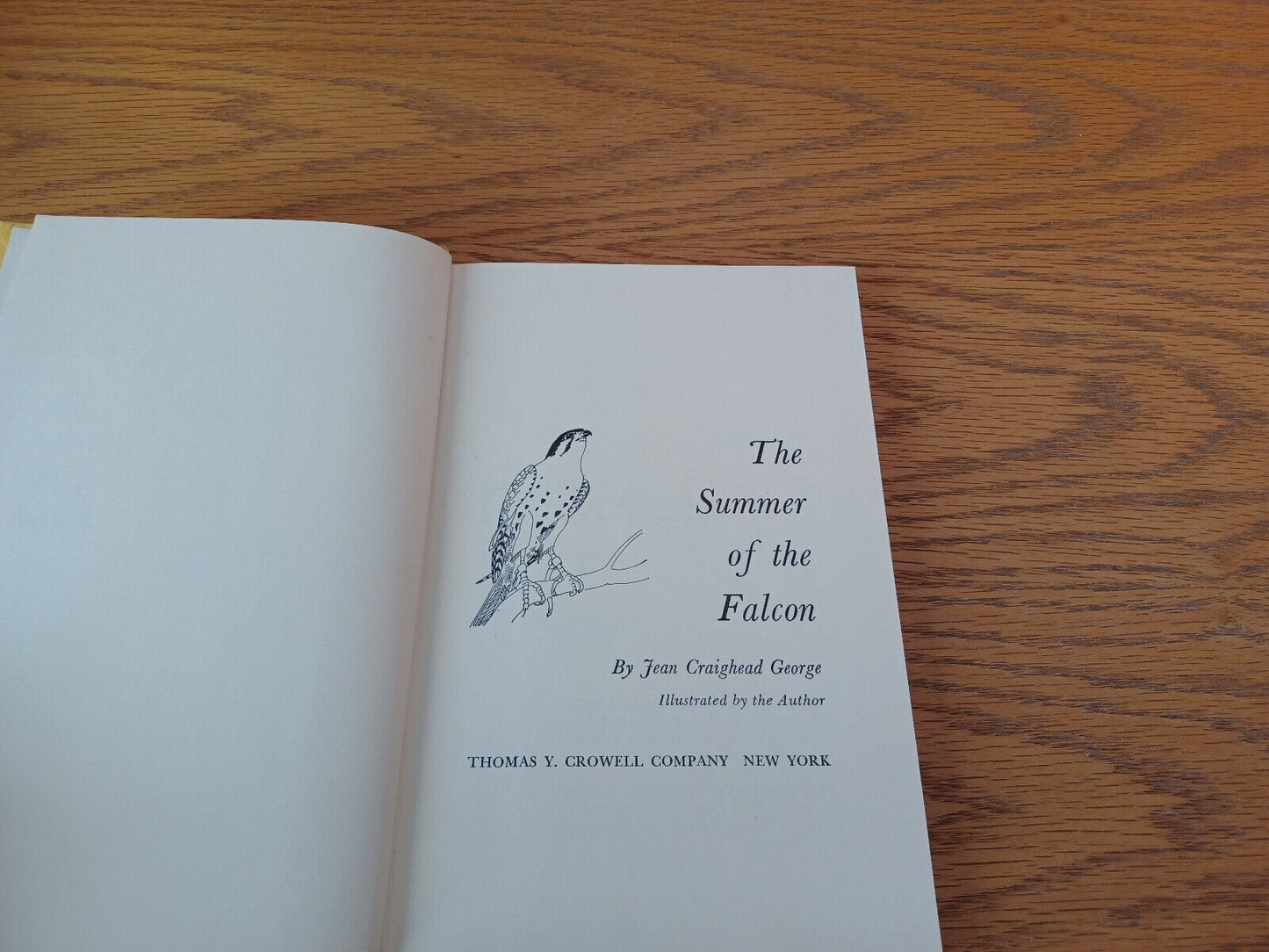 The Summer Of The Falcon Jean Craighead George 1962 1st Printing Hardcover Thoma