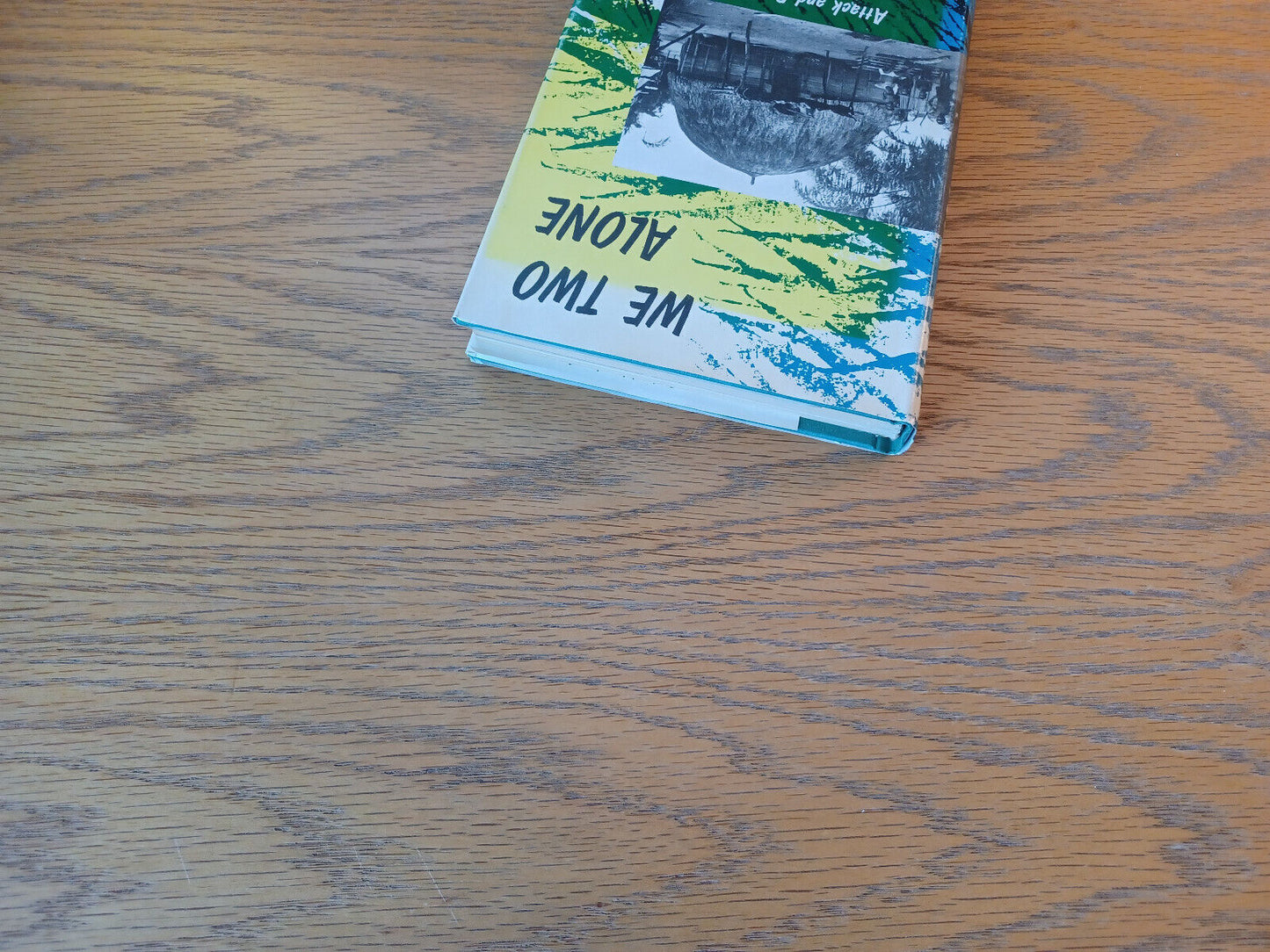 We Two Alone Ruth Hege 1965 Hardcover Dust Jacket Thomas Nelson & Sons