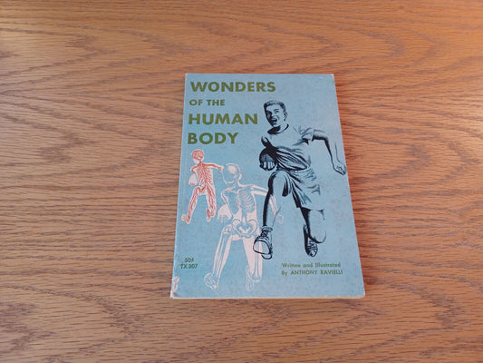 Wonders Of The Human Body Anthony Ravielli 1966 Paperback Scholastic