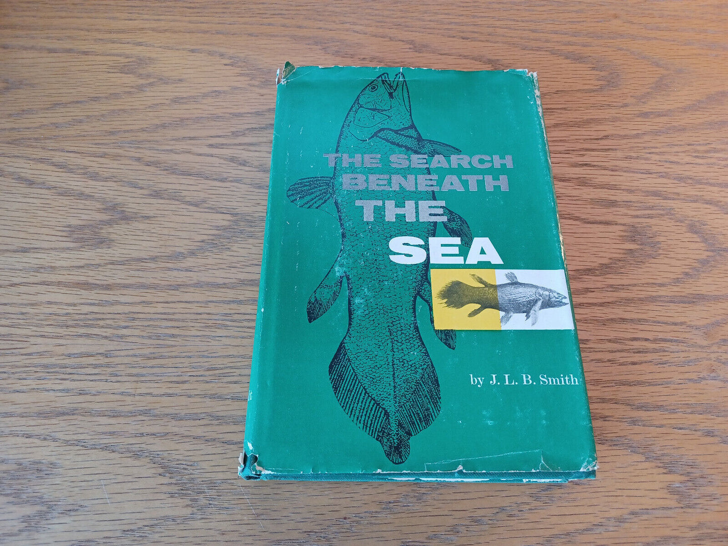 The Search Beneath The Sea J L B Smith 1956 Hardcover Dust Jacket Henry Holt