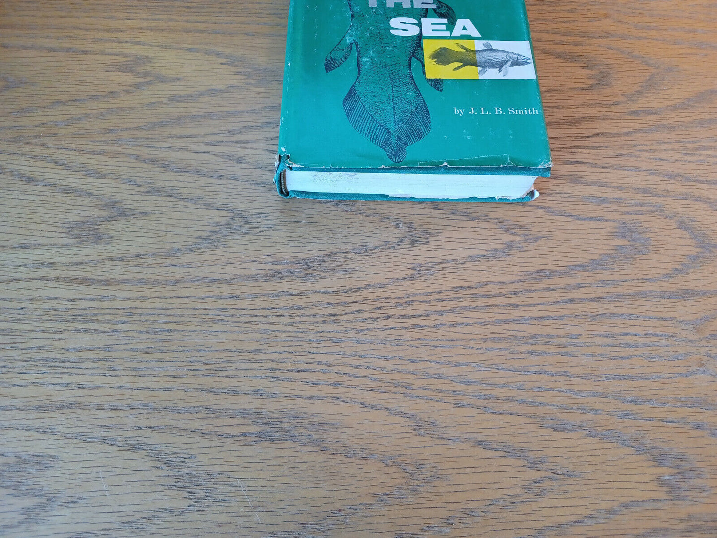 The Search Beneath The Sea J L B Smith 1956 Hardcover Dust Jacket Henry Holt