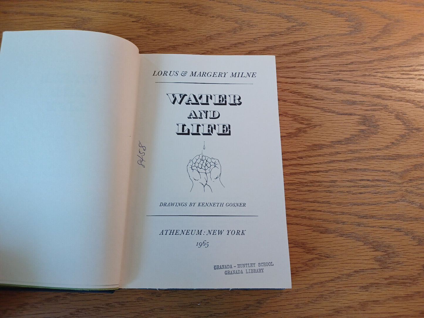 Water And Life Lorus & Margery Milne 1965 Hardcover Atheneum