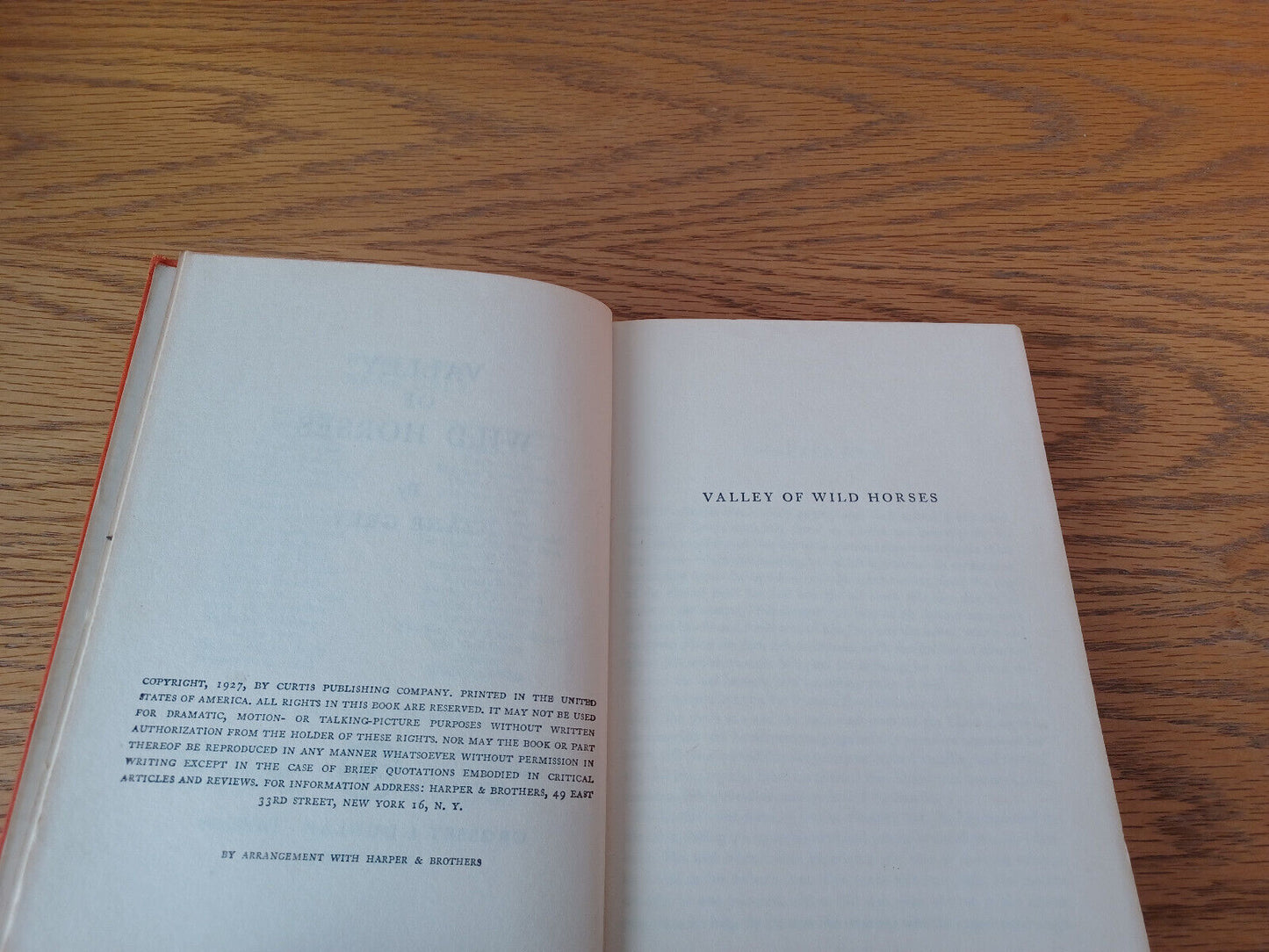 Valley Of Wild Horses Zane Grey 1927 Hardcover Grosset & Dunlap