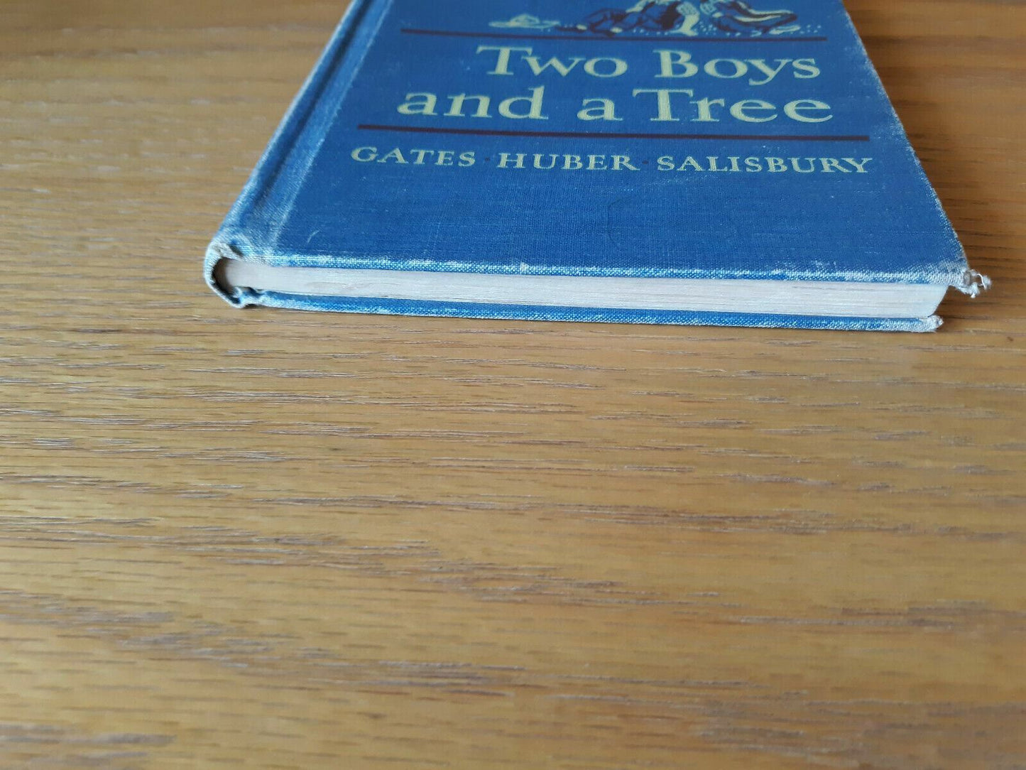 Two Boys and a Tree (The MacMillan Readers) by Gates Huber Salisbury 1951