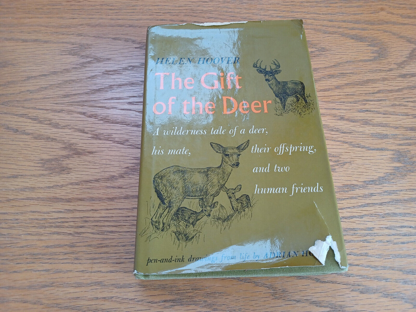 The Gift of the Deer Helen Hoover 1985 Hardcover Dust Jacket Alfred a Knopf