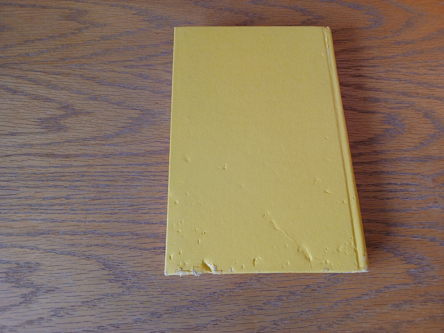 A Place Called Saturday Mary Astor 1968 Hardcover Delacorte Press