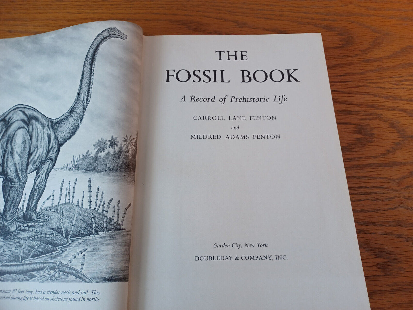 The Fossil Book Carroll Lane Fenton Mildred Adams Fenton 1958 Hardcover Doubleda