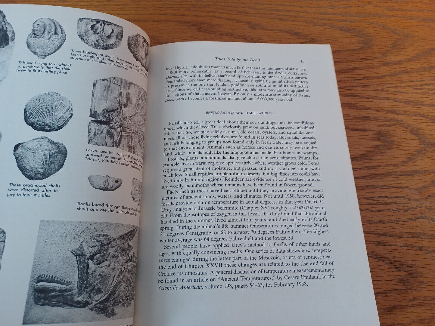 The Fossil Book Carroll Lane Fenton Mildred Adams Fenton 1958 Hardcover Doubleda