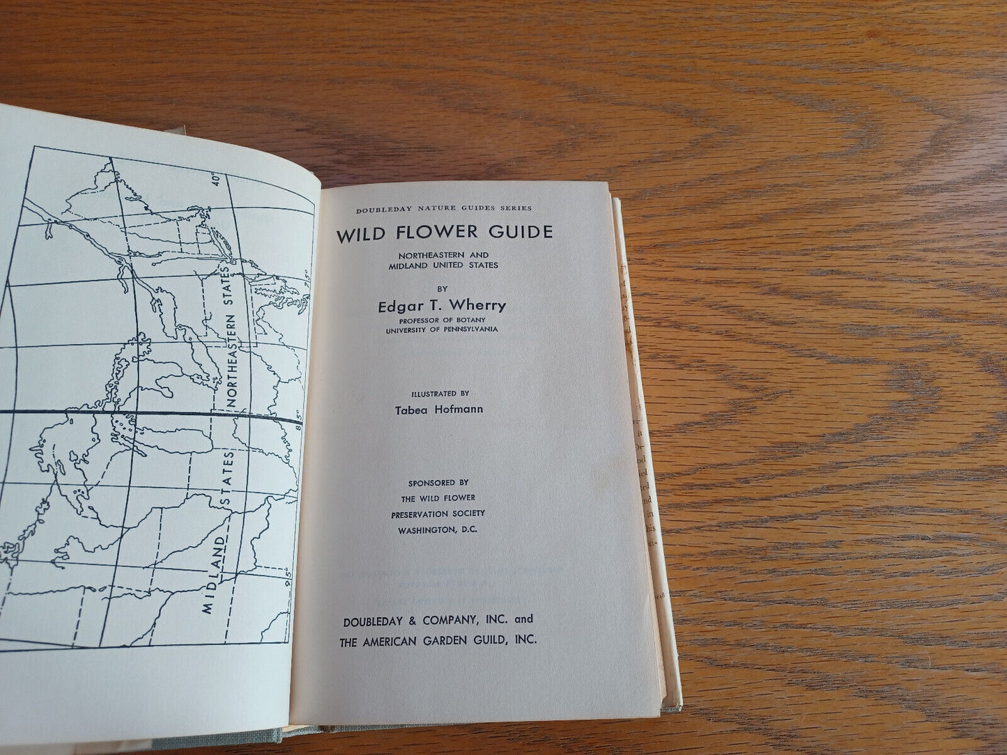 Wild Flower Guide Northeastern and Midland United States Edgar T Wherry 1948