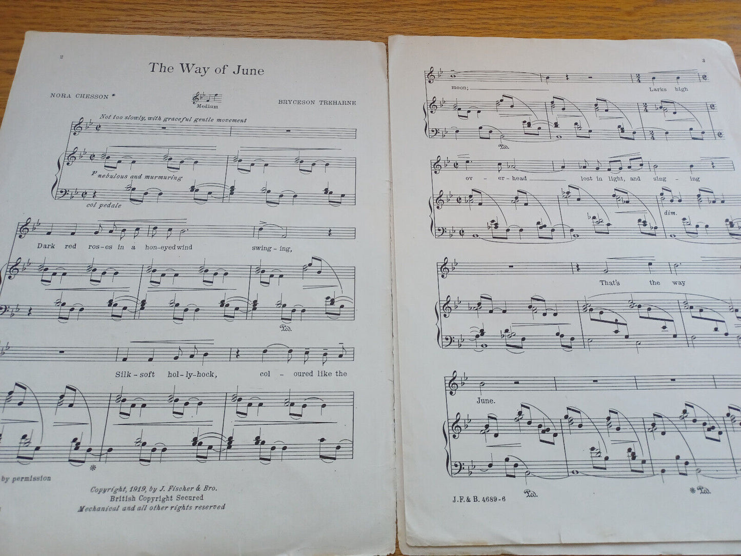 The Way Of June Bryceson Treharne 1919 J Fischer & Brother Sheet Music