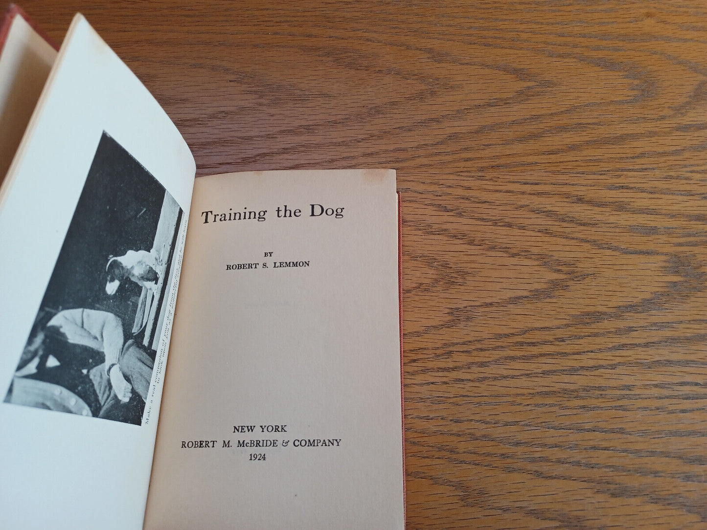 Training the Dogs Robert S Lemmon 1924 Hardcover Robert M McBride