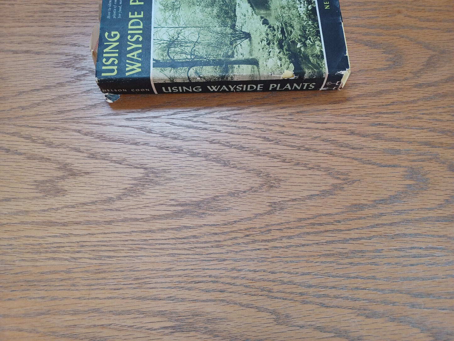 Using Wayside Plants Nelson Coon 1960 Book Club Edition Hearthside Press