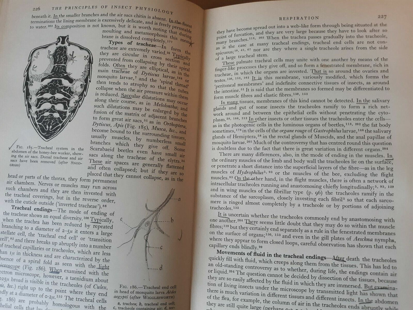 The Principles of Insect Physiology Hardcover 1950 V. B. Wigglesworth E P Dutto