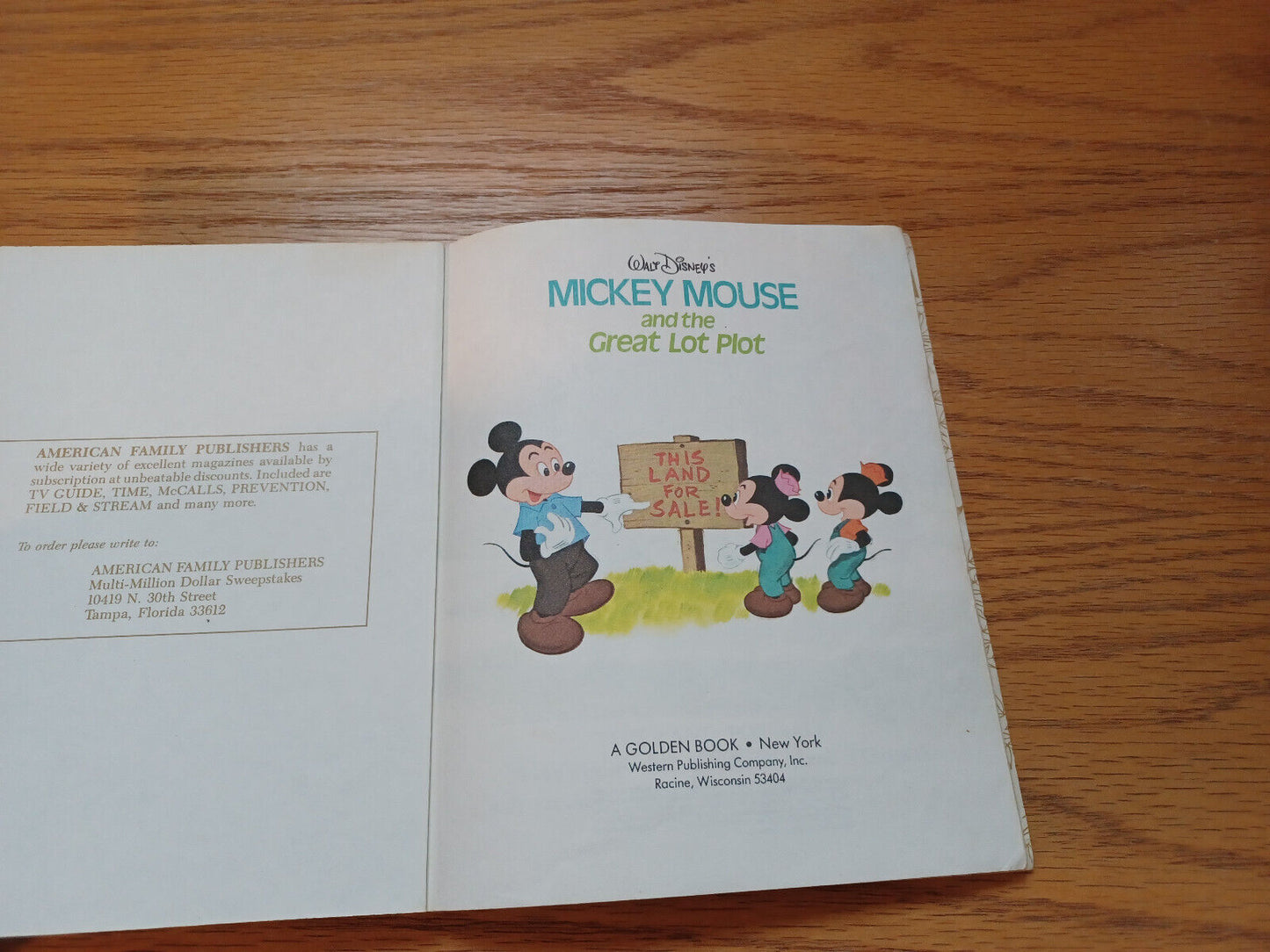 Walt Disney's Mickey Mouse And The Great Lot Plot 1974