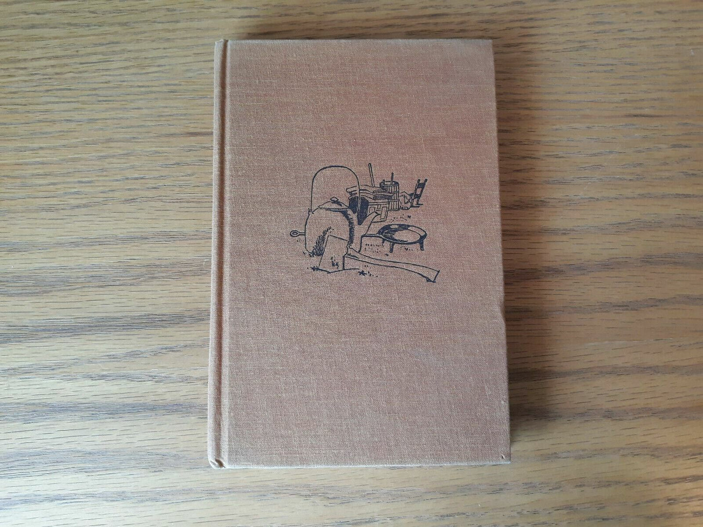 The Road to the Valley Hardcover 1961 by Virginia Nielsen