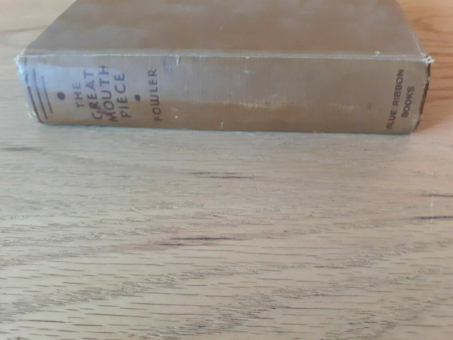 The great mouthpiece: A life story of William J. Fallon 1936 Gene Fowler