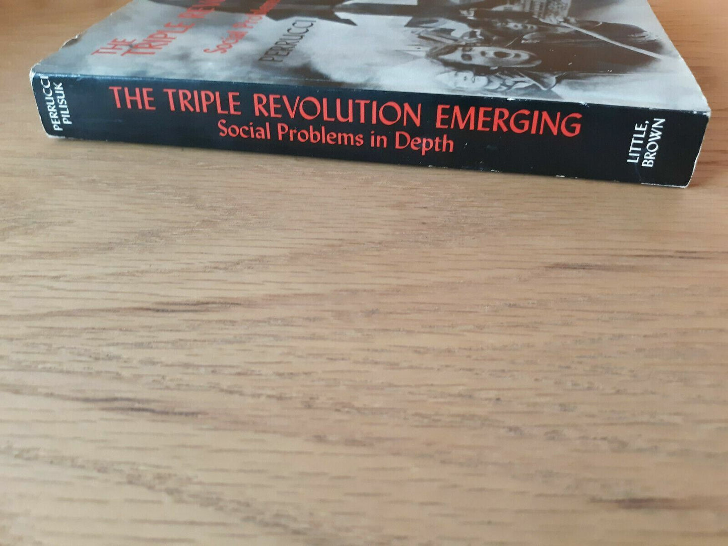 The Triple Revolution Emerging Social Problems in Depth 1971 Perrucci Pilisuk