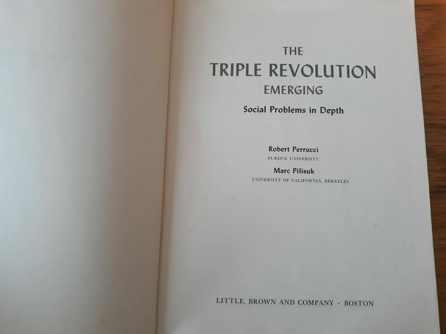 The Triple Revolution Emerging Social Problems in Depth 1971 Perrucci Pilisuk