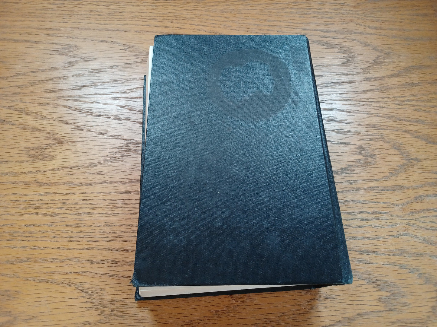 Image #6