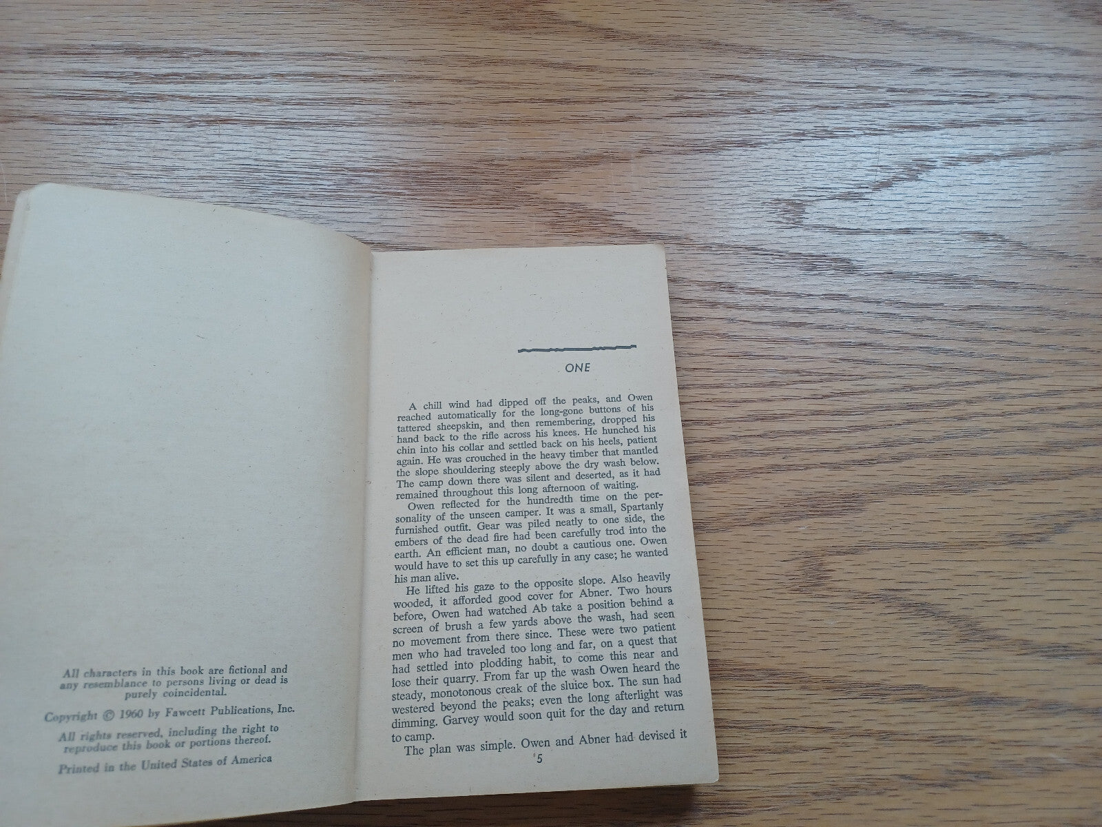 Image #8