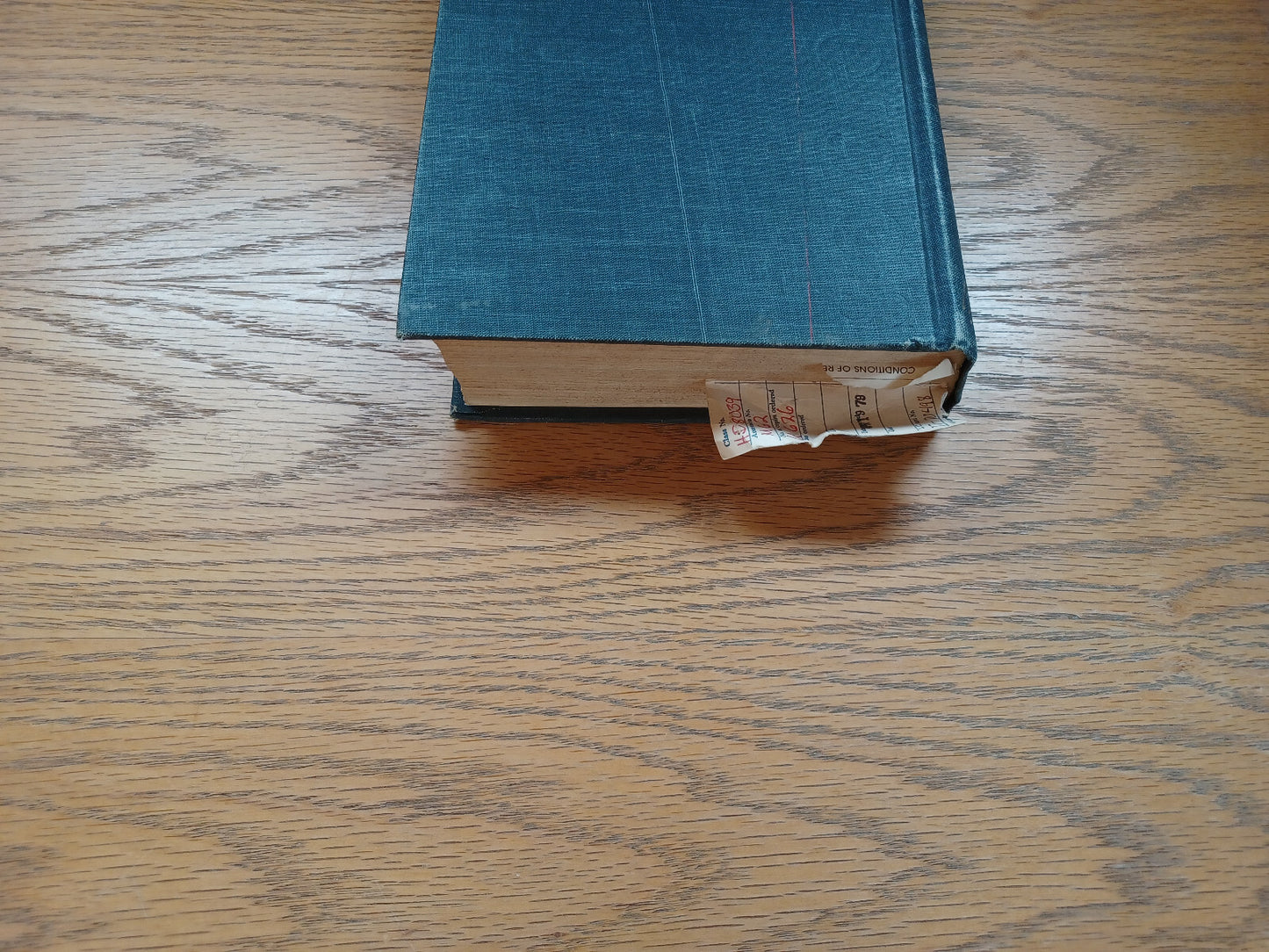 Image #4
