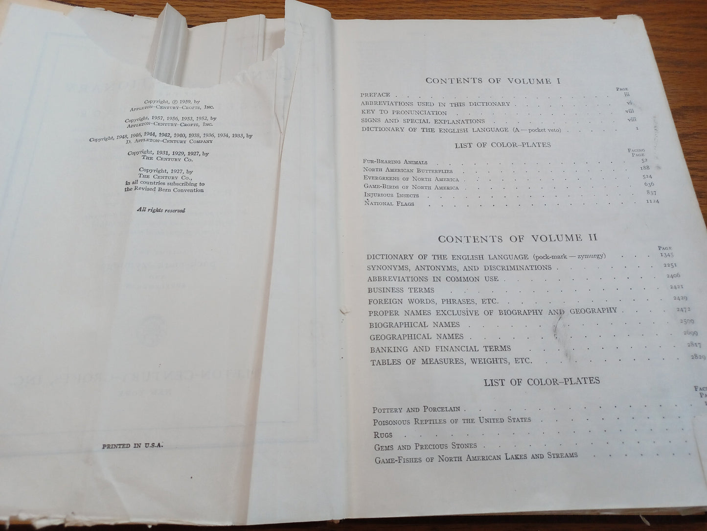 Image #8