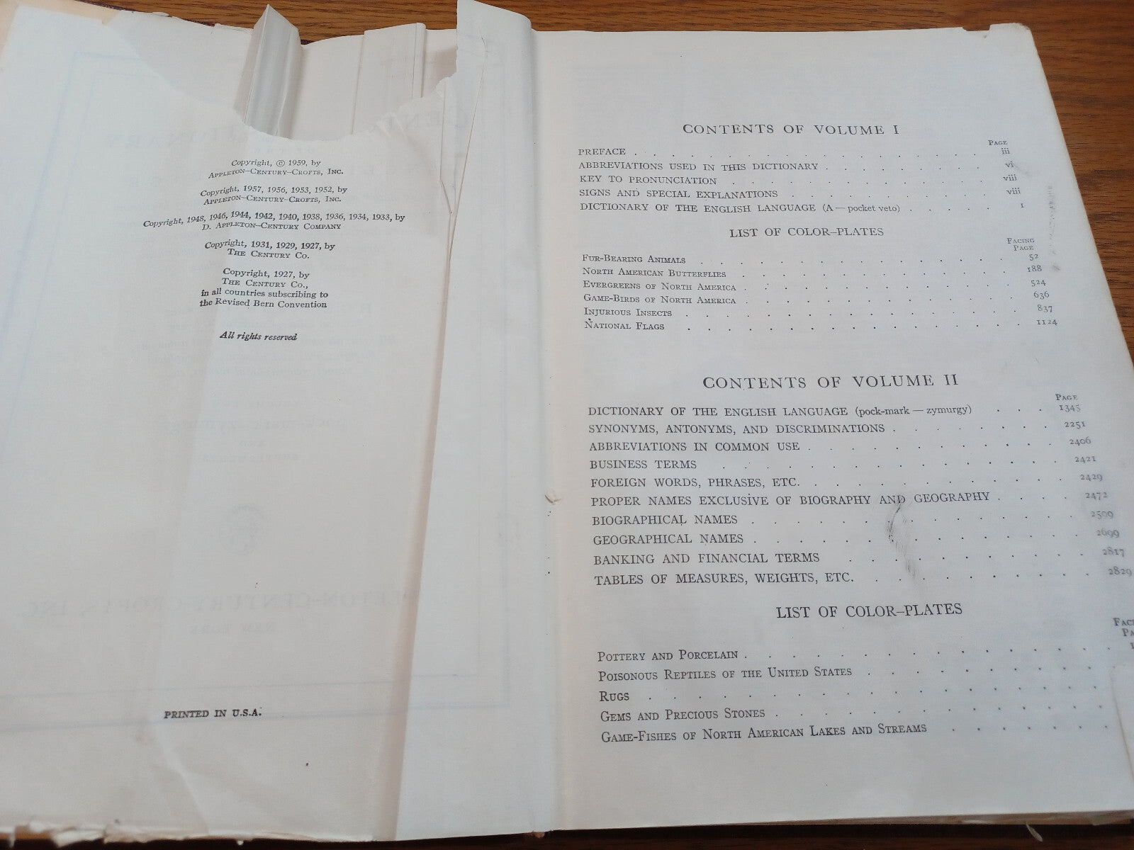 Image #8