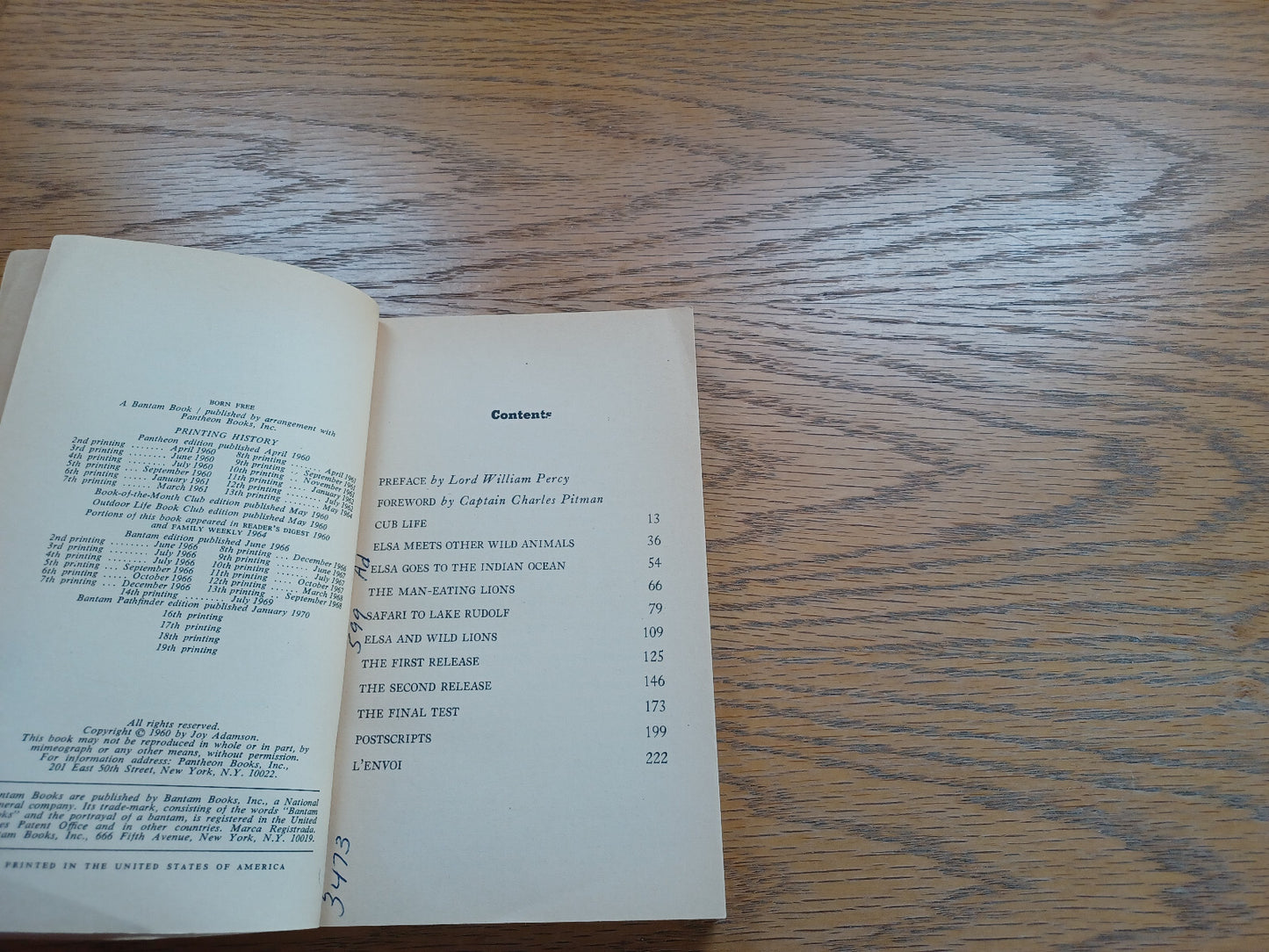 Image #8